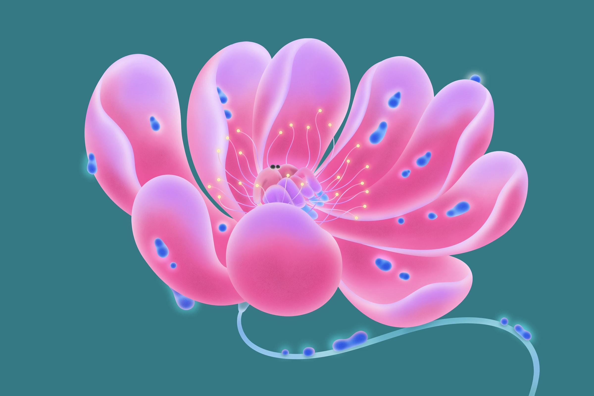 How romance authors celebrate life and love with a disability