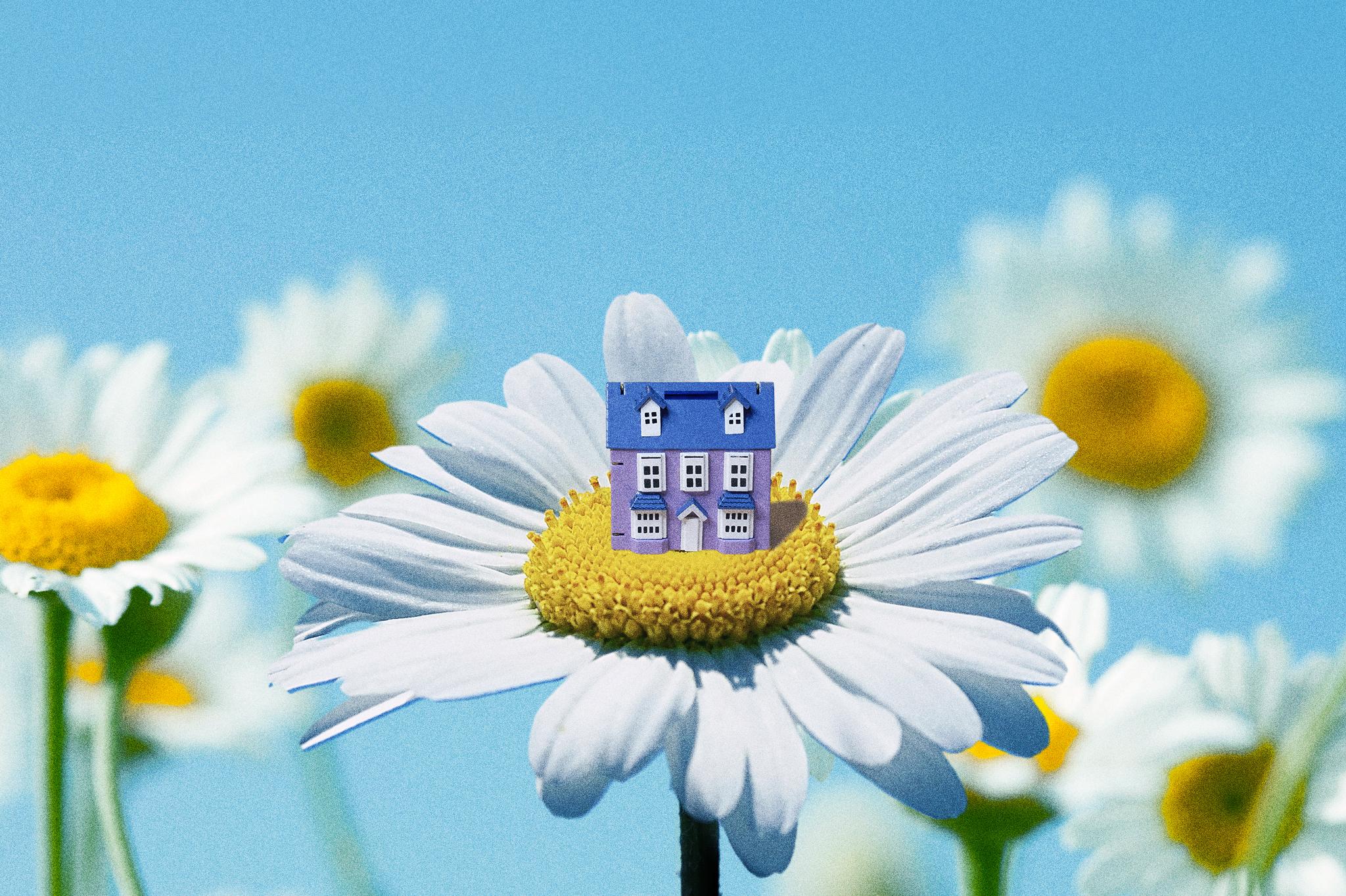 For Earth Day 2025, these tiny climate actions take just a few minutes - Washington Post