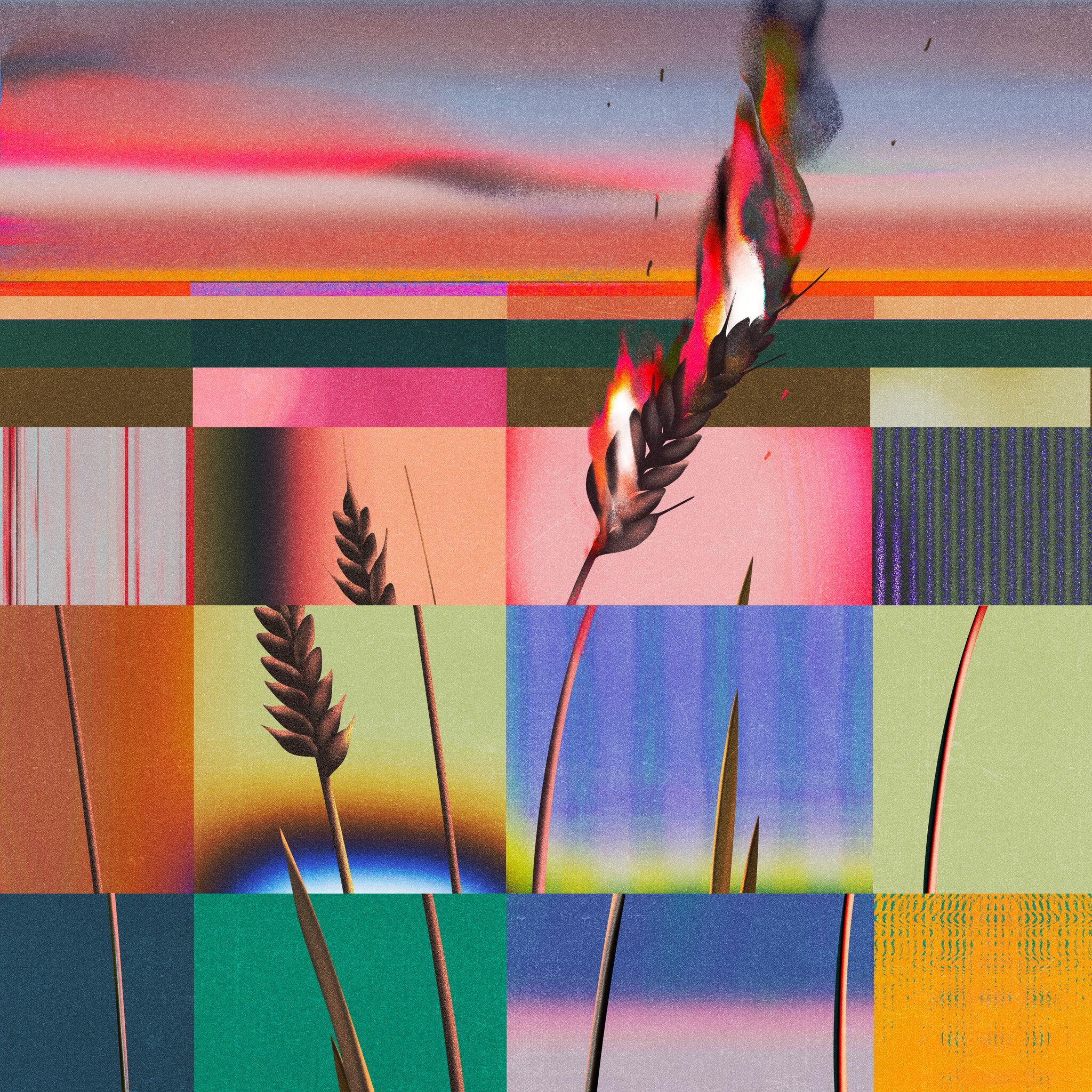 How Bad Is the Global Food Crisis Going to Get?