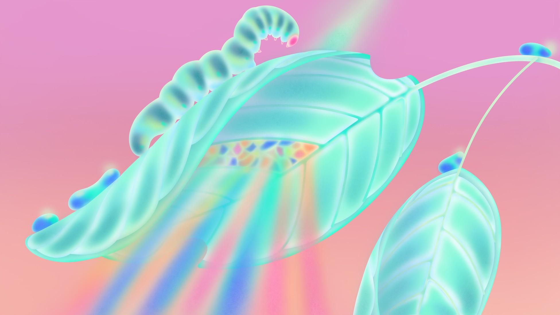 The Evidence That God Exists