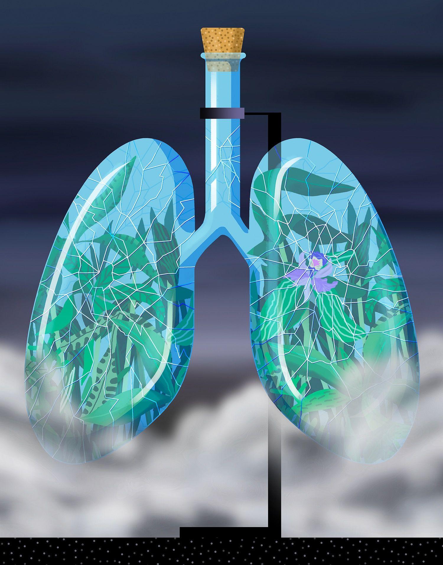What Happens When You Breathe