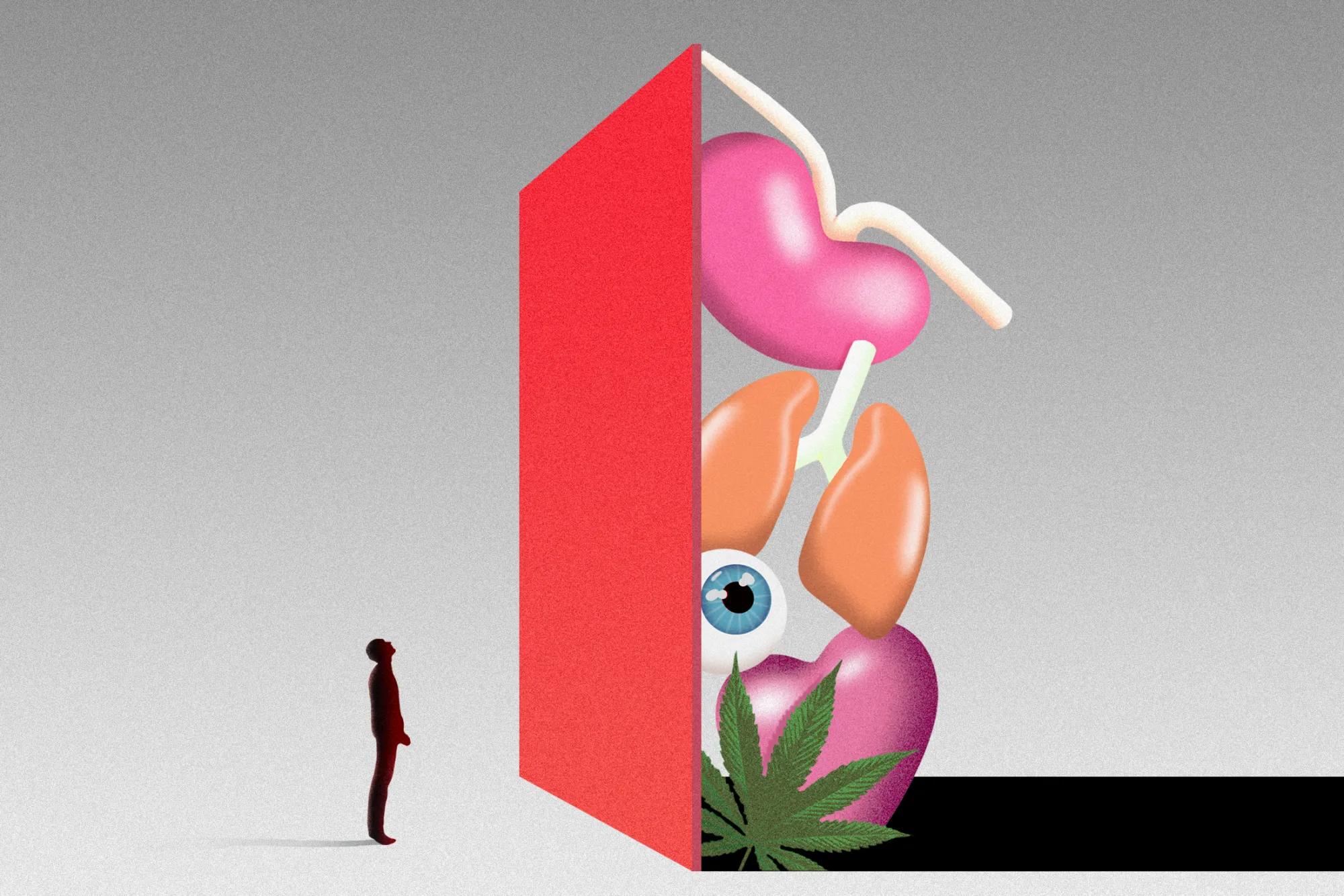 An Economist’s Case for Selling a Kidney